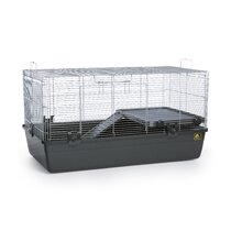 Fashion guinea pig cage wayfair